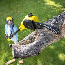 Artificial Turf Installation in Country Knolls, NY
