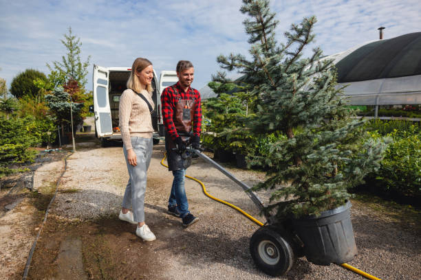 Reliable Country Knolls, NY Tree Services Solutions
